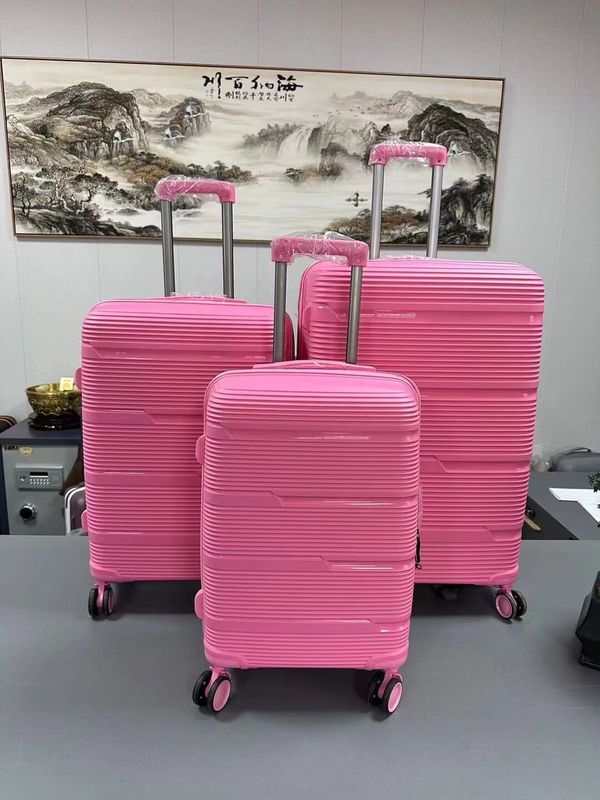 OEM Negocio Carry-On 20 24 28 pulgadas maleta de viaje PP para viajes y trabajo