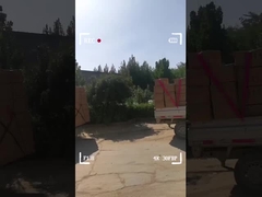 Equipaje de dibujos animados para niños con cierre de cremallera