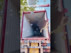 Multicolor niños tiran a lo largo maleta 30L con mango telescópico